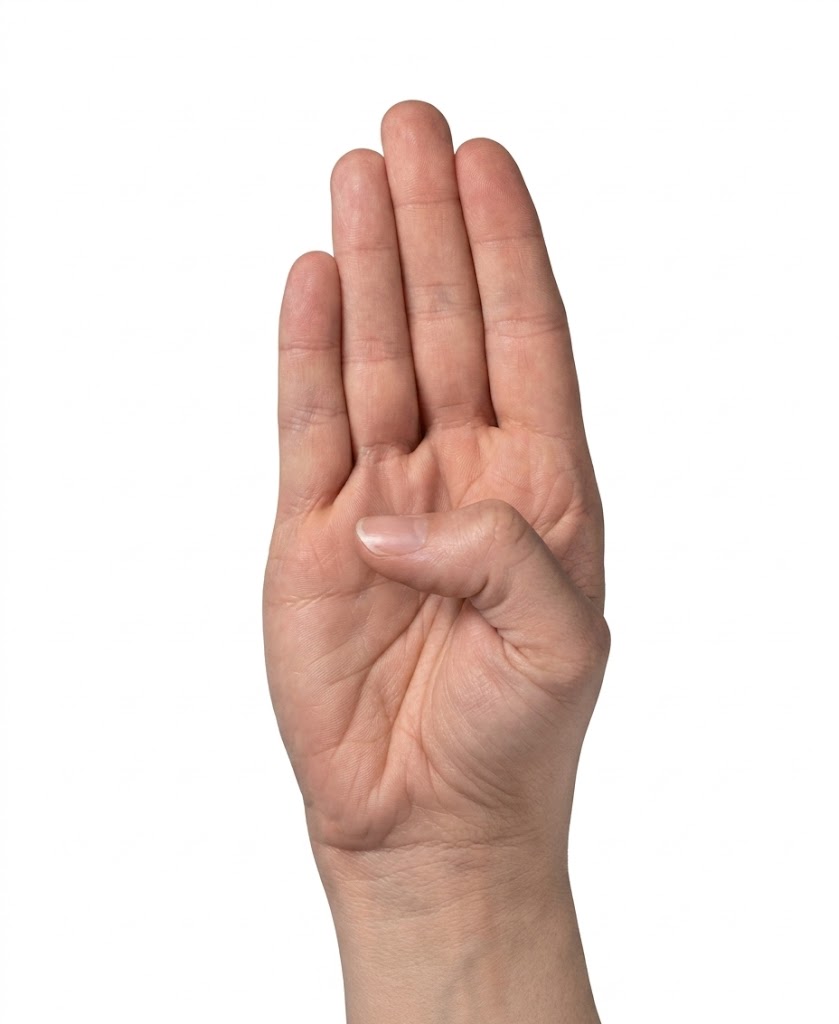 ASL sign for B