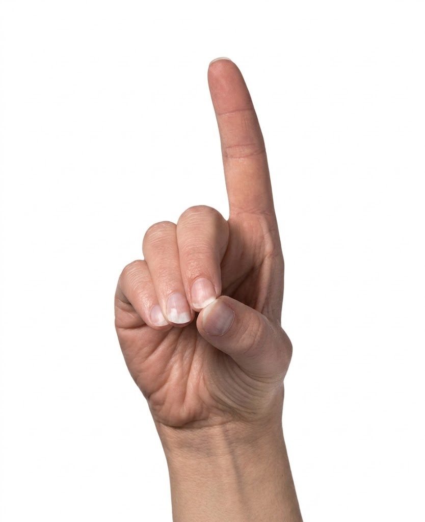 ASL sign for D
