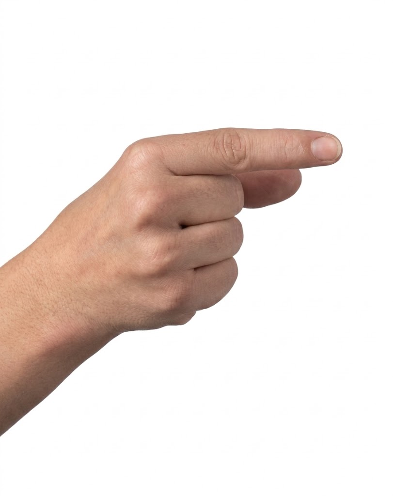 ASL sign for G