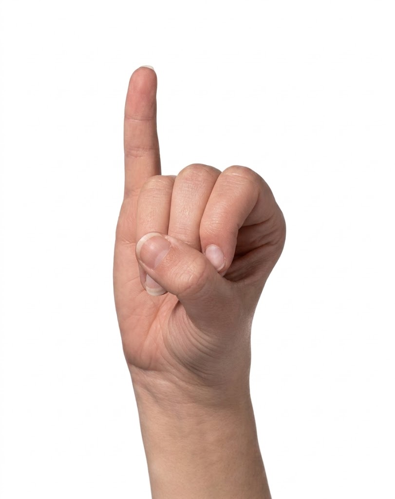ASL sign for I