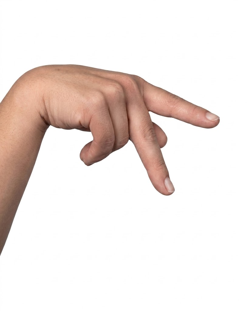 ASL sign for P