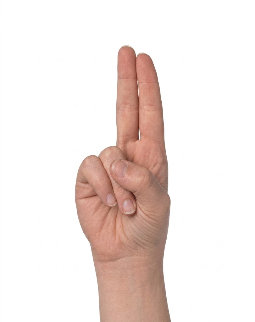ASL sign for U