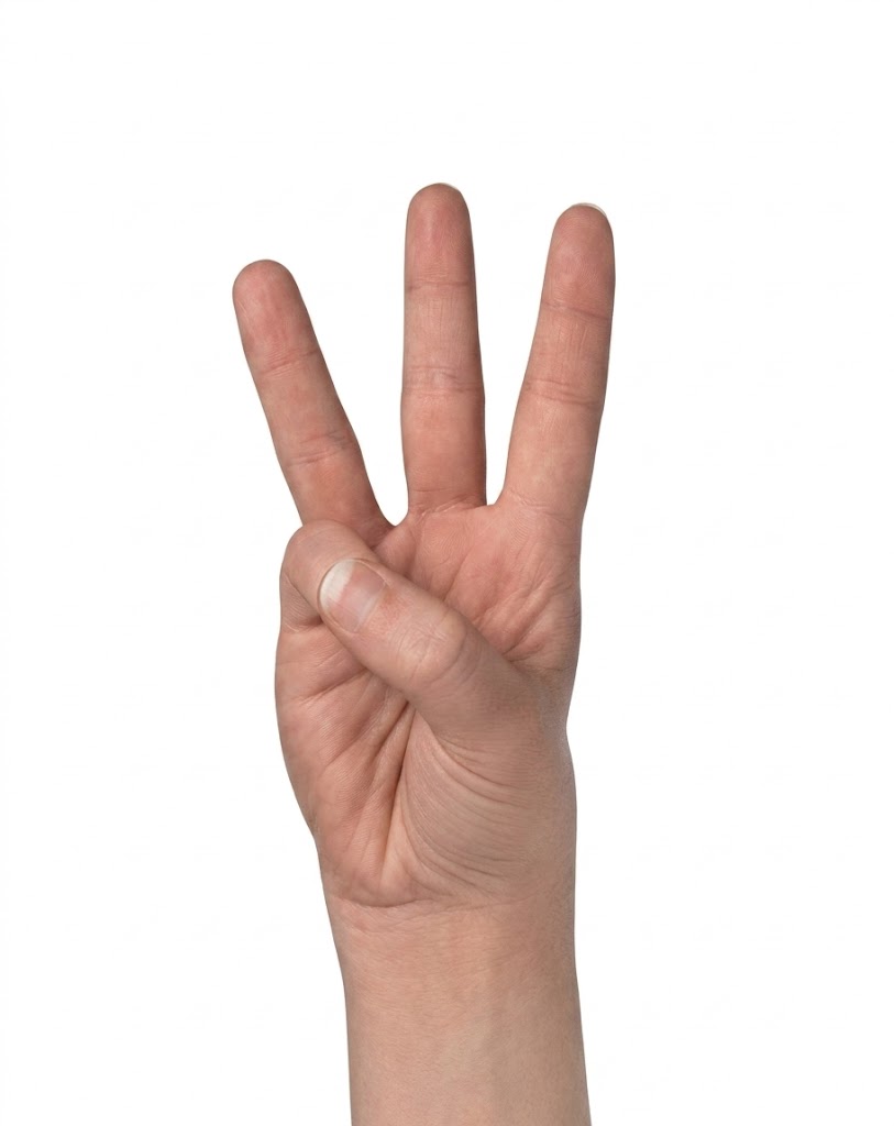 ASL sign for W
